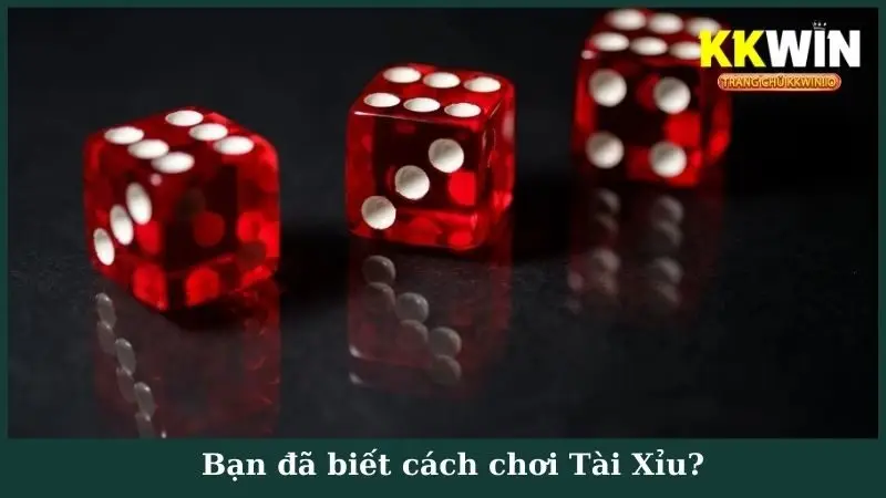 Bạn đã biết cách chơi Tài Xỉu?