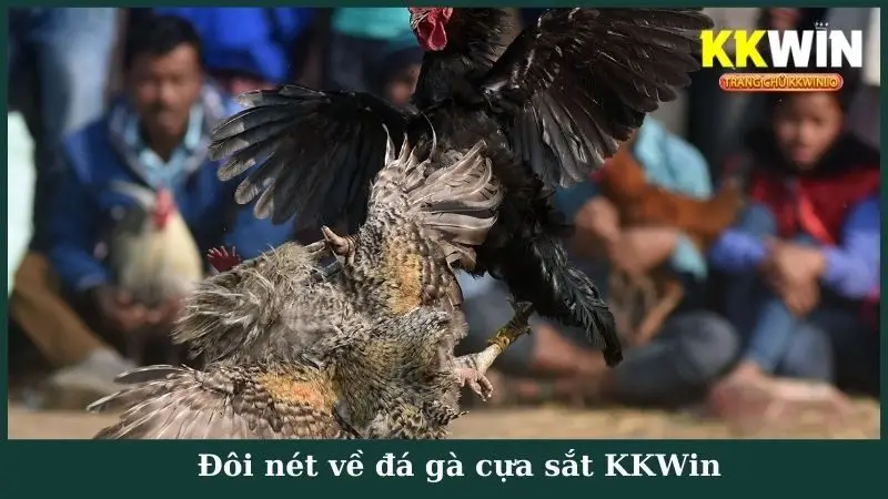 Đôi nét về đá gà cựa sắt KKWin