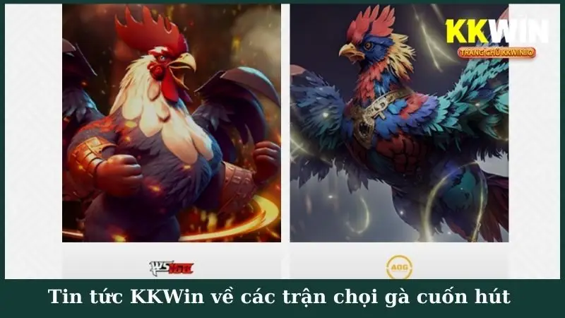 Tin tức KKWin về các trận chọi gà cuốn hút