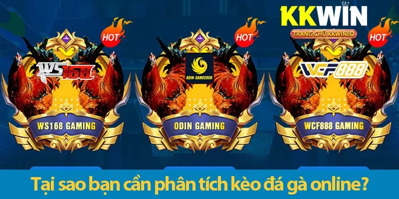 Mẹo phân tích kèo đá gà chơi đâu thắng đó ở KKWIN